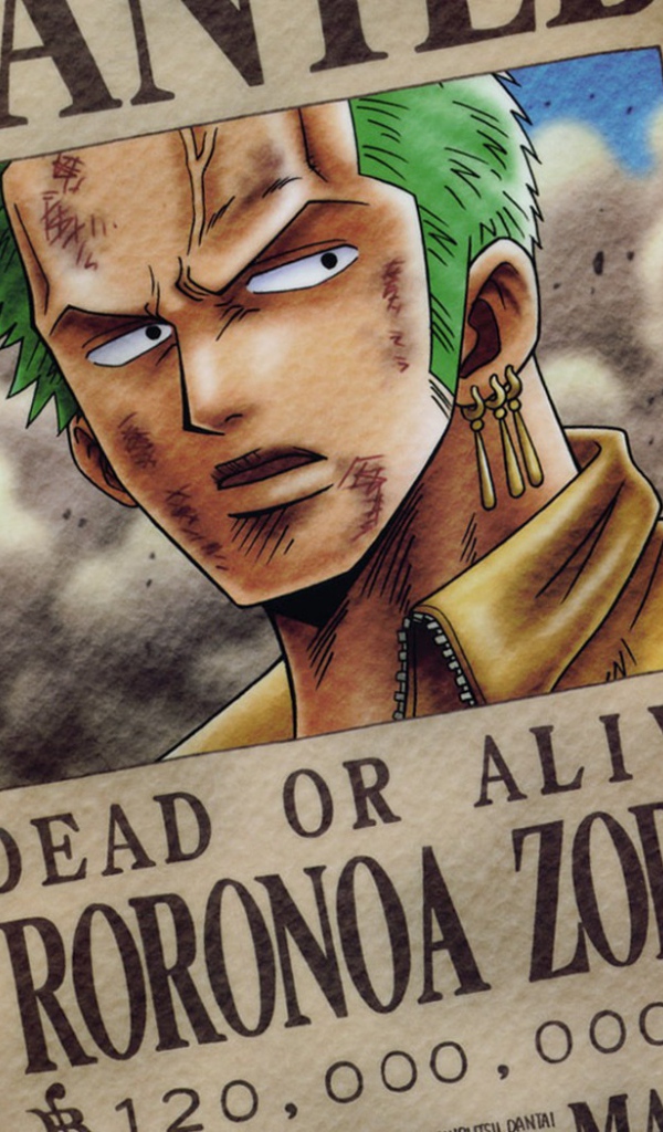 Розыск преступника Зоро из аниме Большой куш