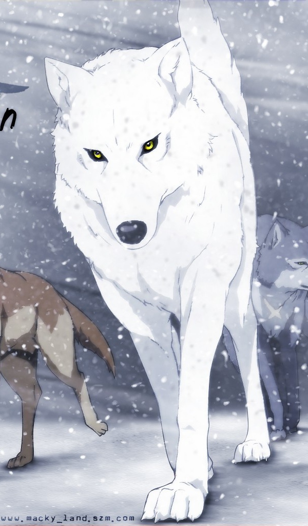 Волки в аниме Wolf's Rain