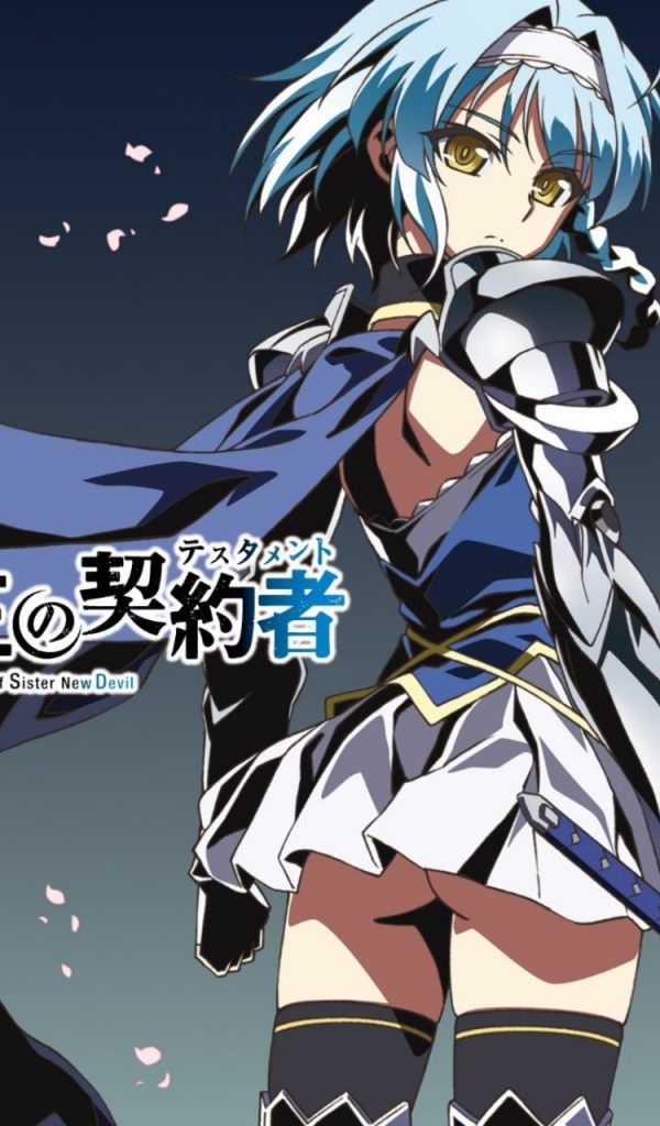 Юкки Нонака из аниме По велению адской сестры