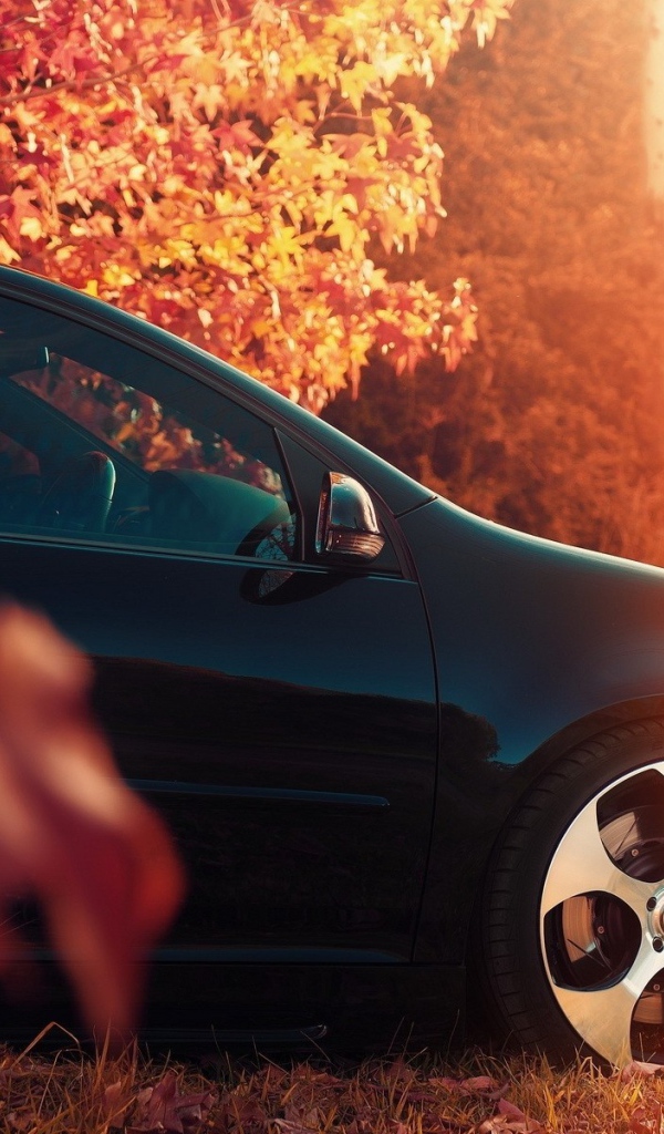 Черный автомобиль под осенней листвой