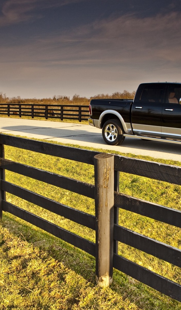 Черный пикап на ферме среди загонов