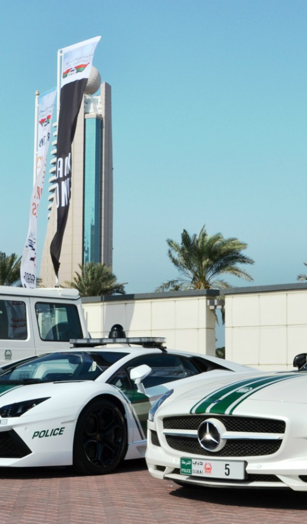 Автомобили полиции Дубая