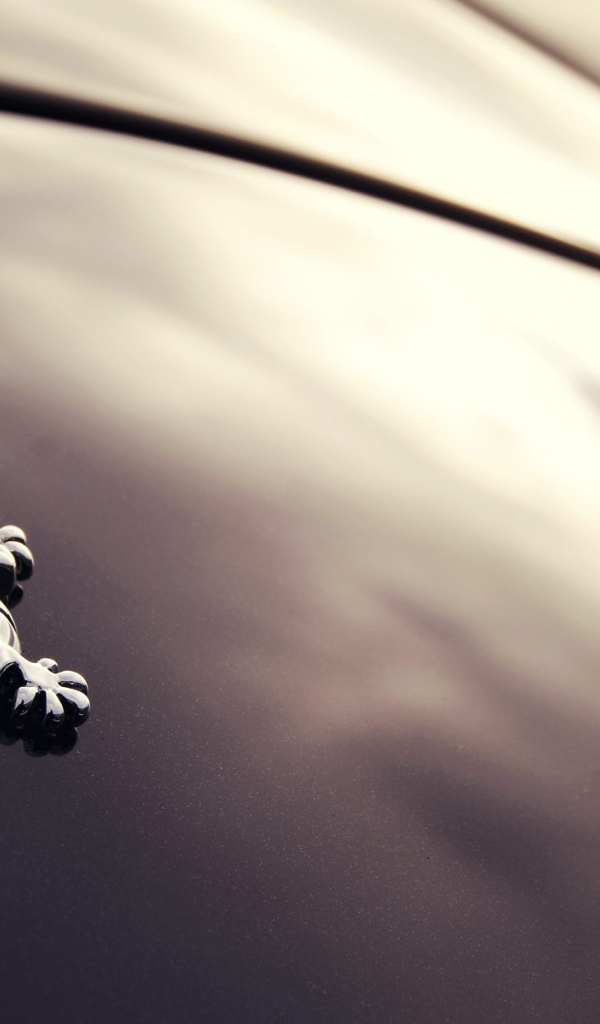 Логотип авто Wiesmann