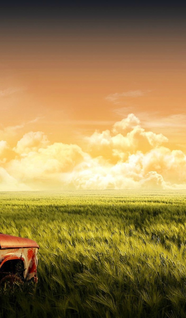 Старый автомобиль на зеленом поле