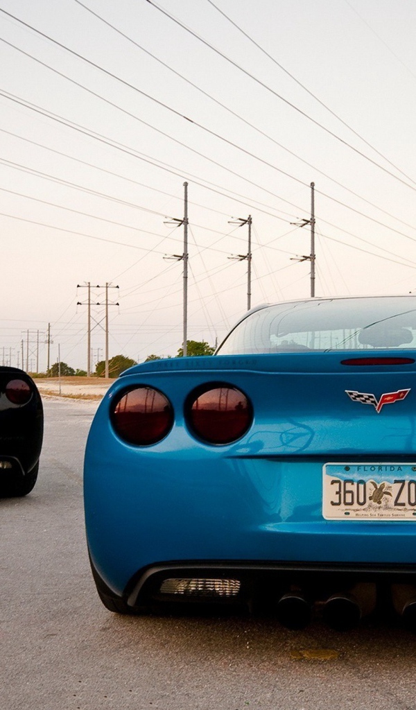 Вид сзади на спортивные авто