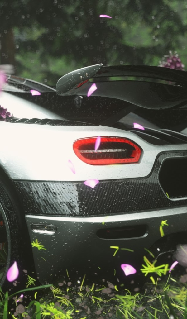 Вид сзади на спортивный автомобиль в цветах