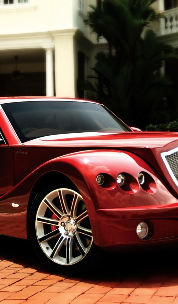 Красный роскошный автомобиль на мощеной дорожке