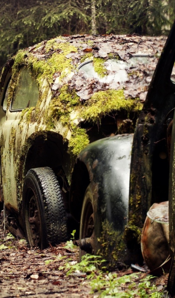 Остатки старых брошенных автомобилей