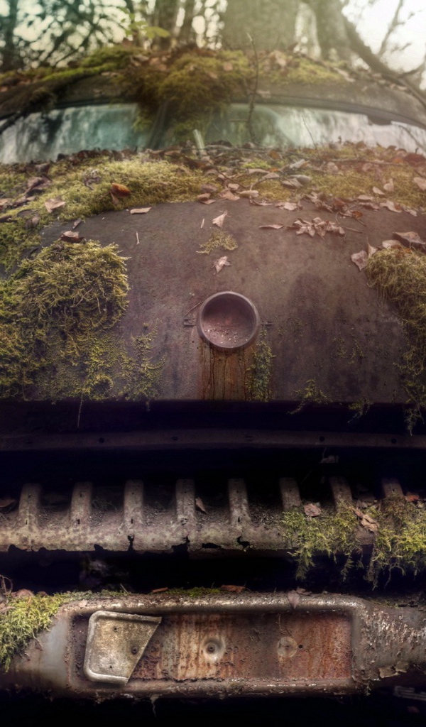 Ржавый корпус старого авто порос мхом