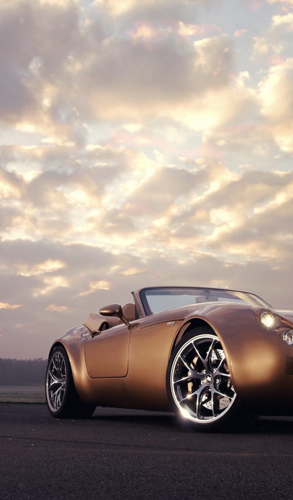 Спортивный коричневый Wiesmann