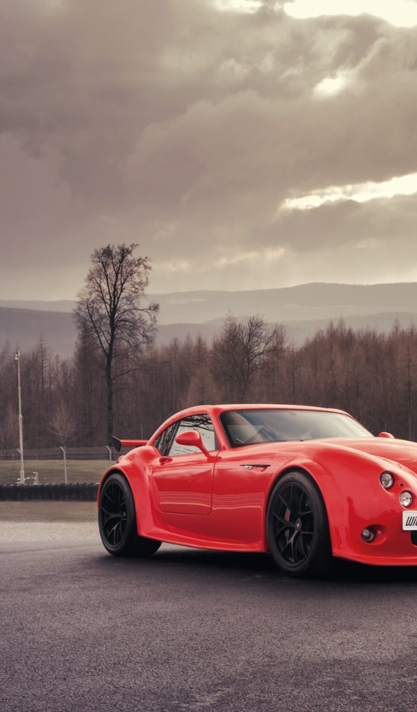 Авто Wiesmann на дороге