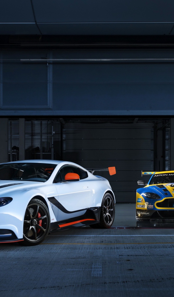 Two cars Aston Martin go out of the garage