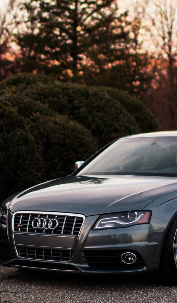 Dark gray Audi in hedge