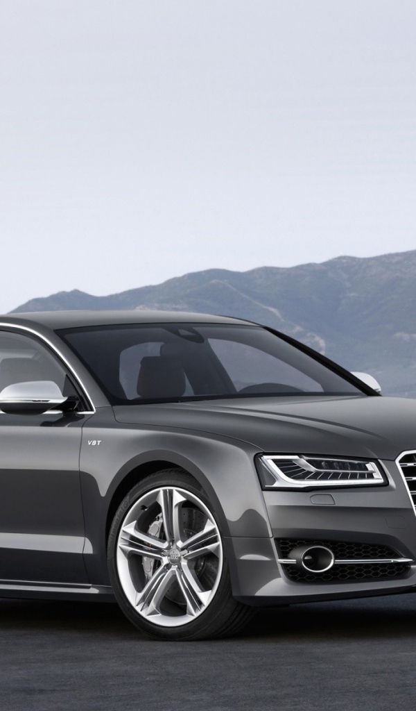 Серый семейный Ауди на фоне гор