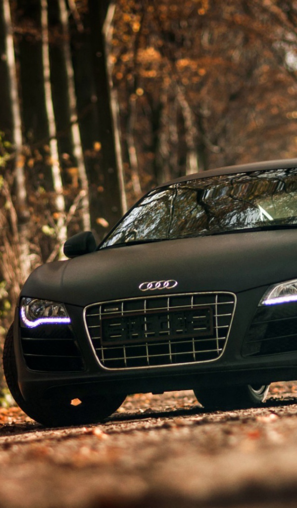 The two-door black Audi in the forest