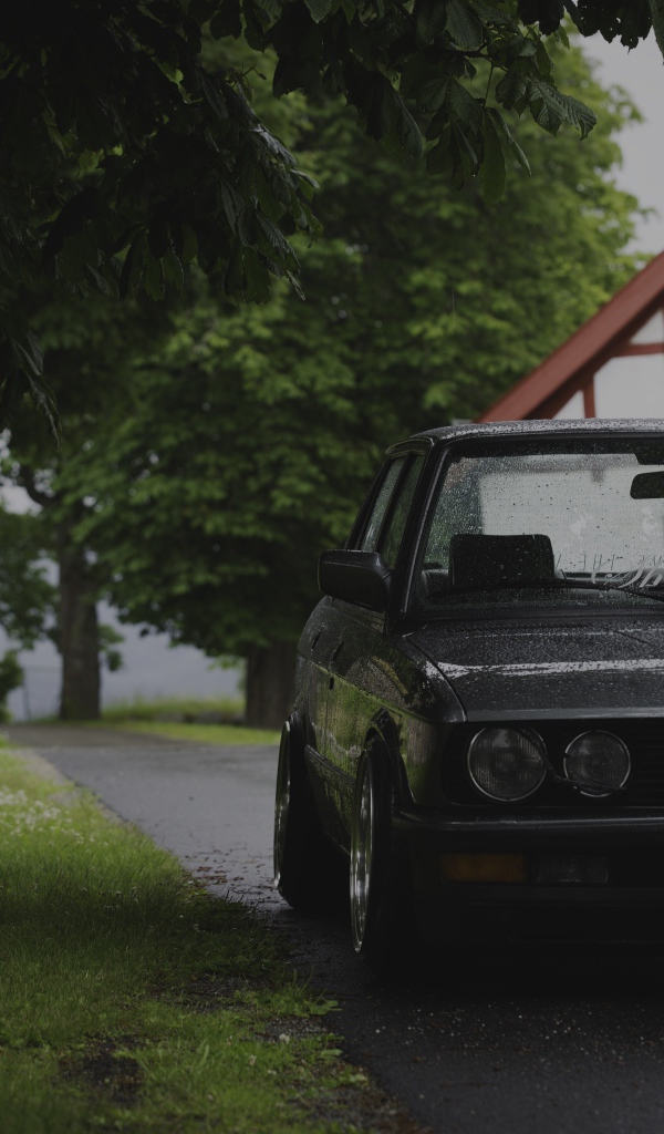 Старенький BMW E28 припаркован под деревом