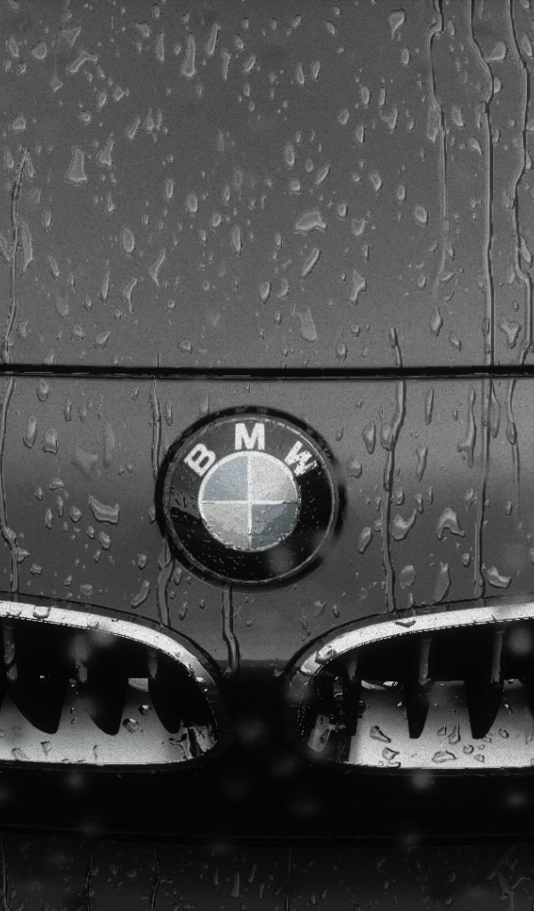 Авто БМВ под дождем
