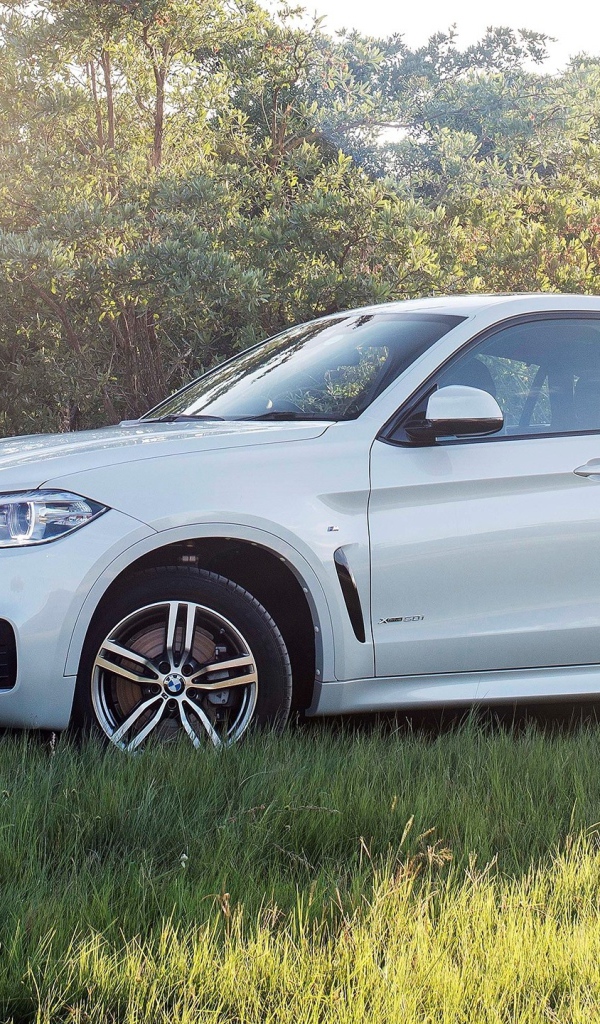 Полноприводный белый BMW на траве