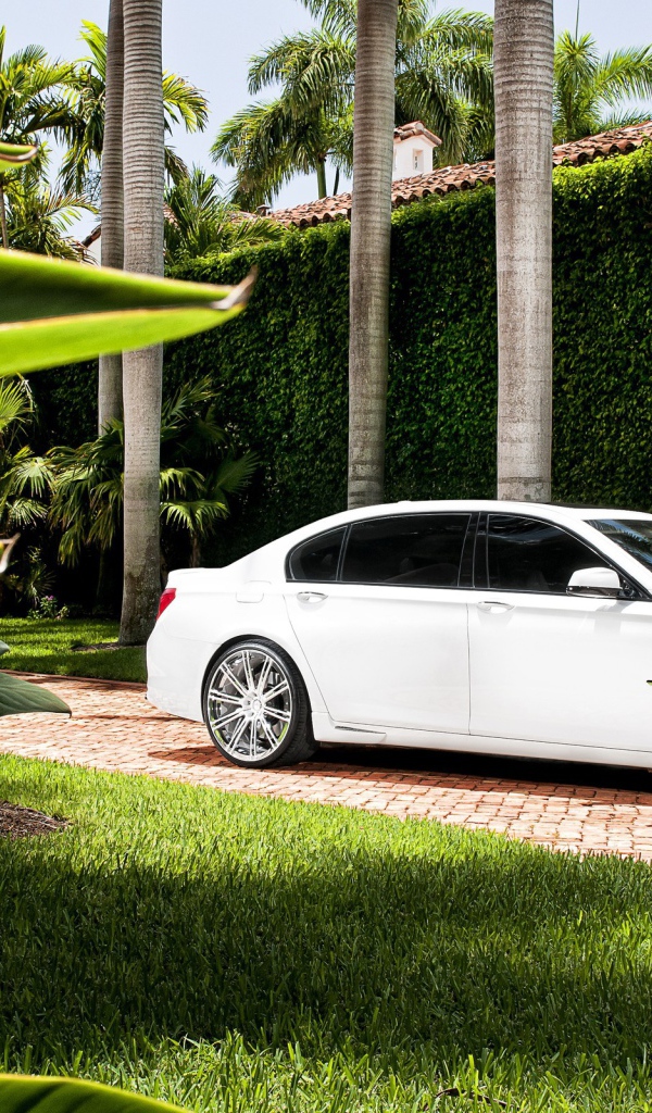 Белый БМВ во дворе богатого дома