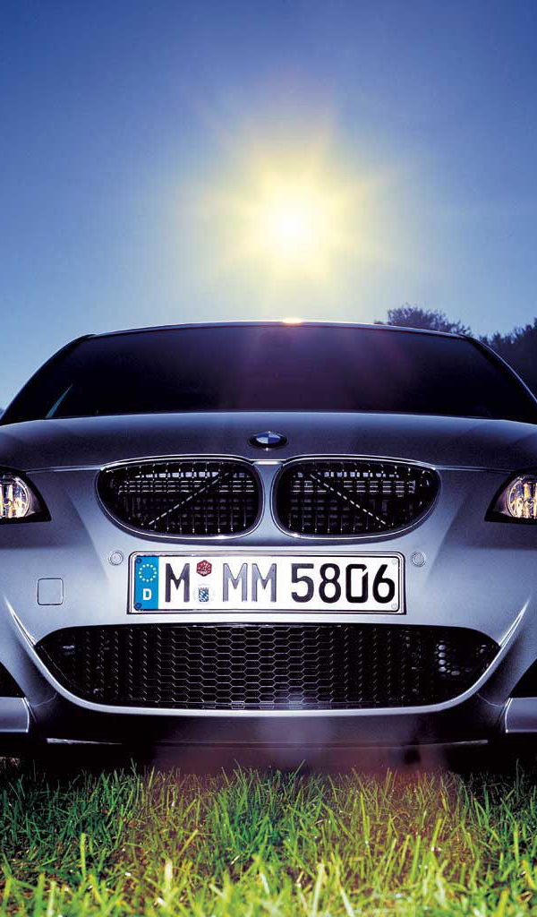 BMW на солнечной поляне