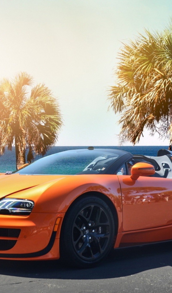 Orange Bugatti Veyron against the backdrop of palm trees by the sea
