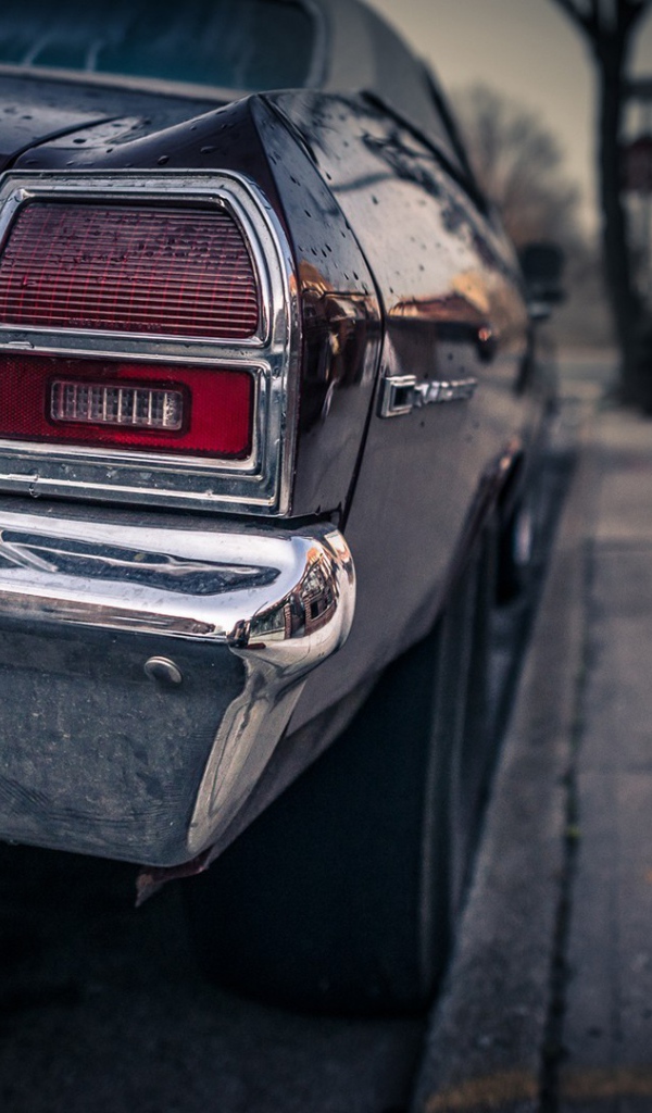 The rear lights of the old Chevelle SS