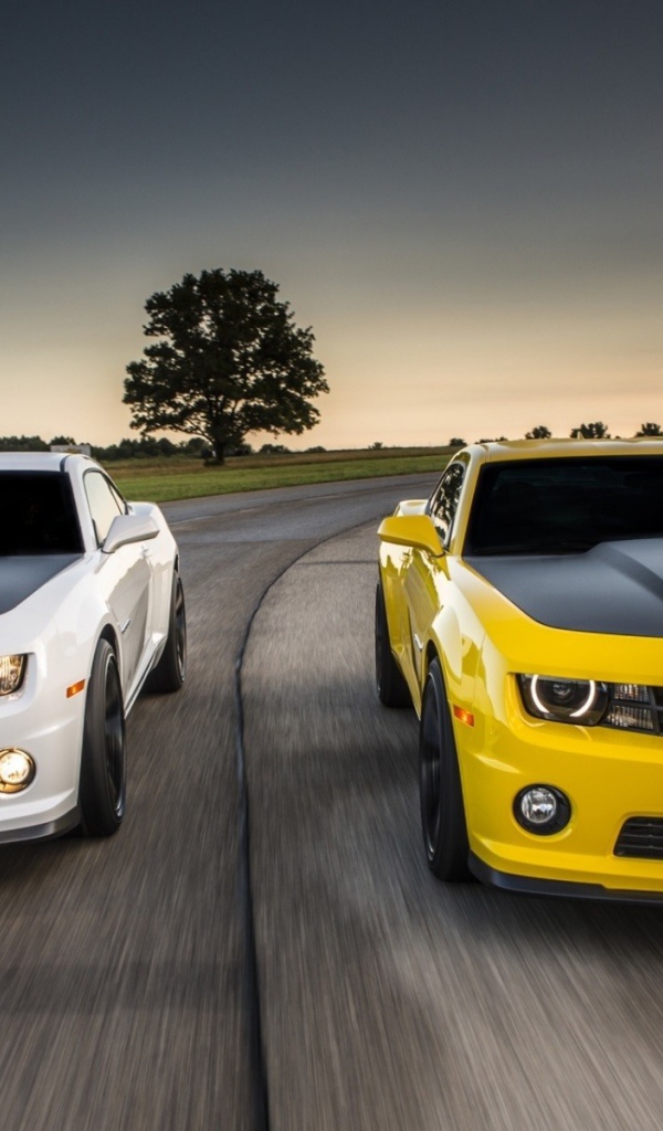 Соревнования белого и желтого Chevrolet Camaro