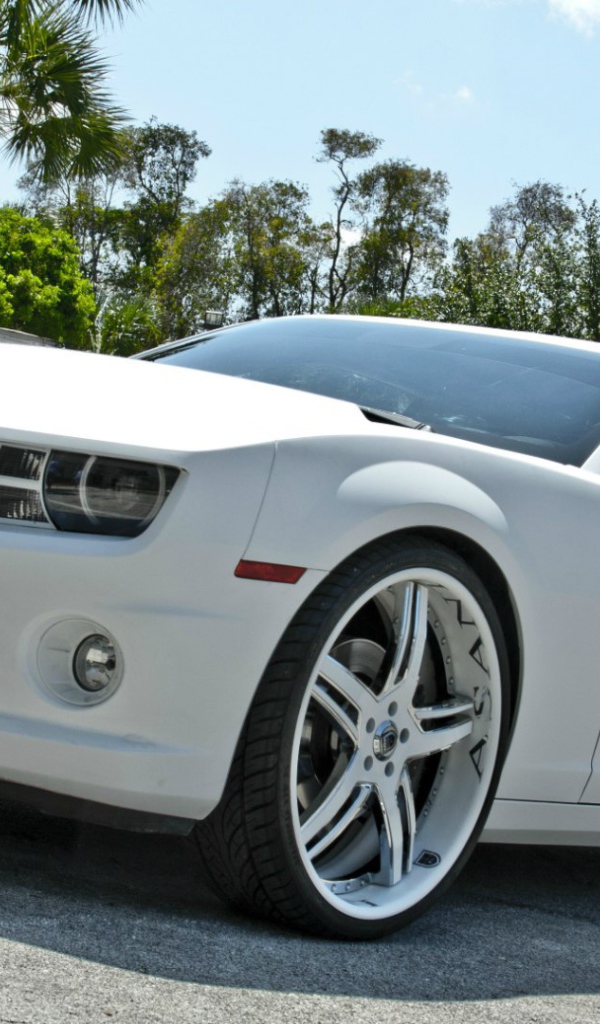 Мощный белый Chevrolet Camaro Asanti