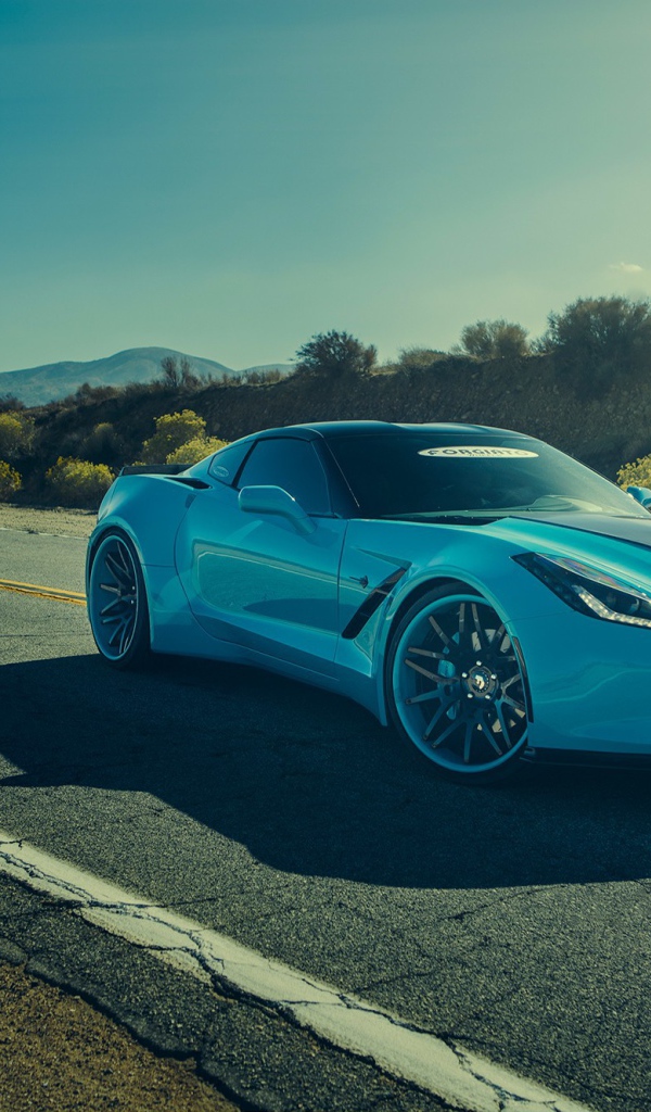 Нежно голубой Chevrolet Corvette C7 под летним солнцем
