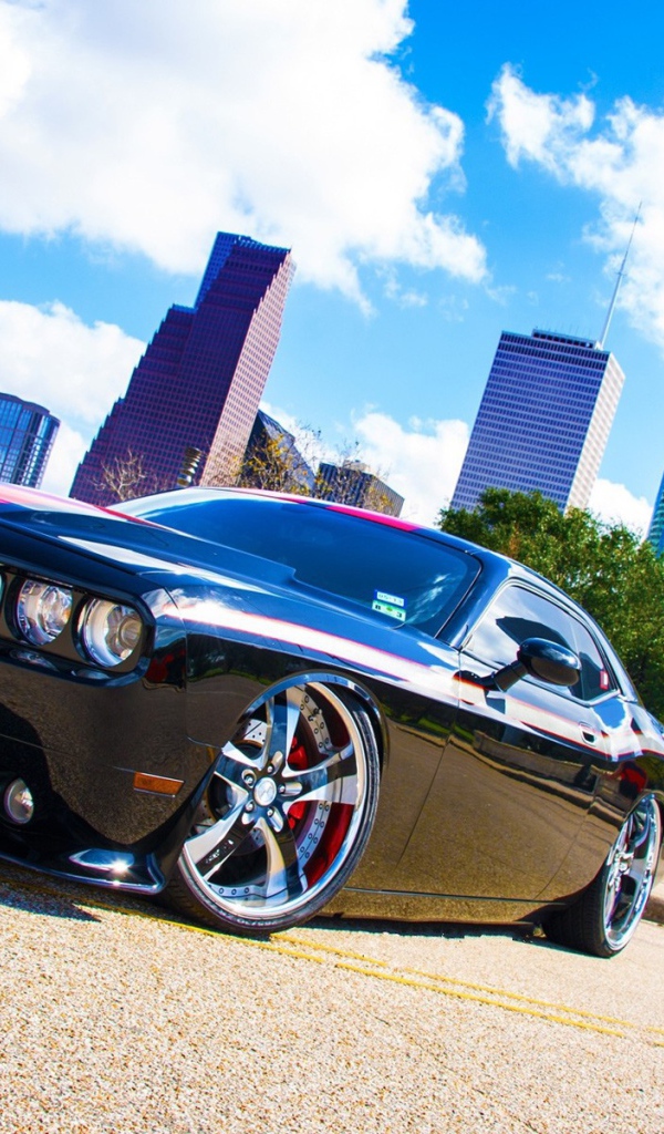 Черный Dodge Challenger с красными полосами на фоне небоскребов