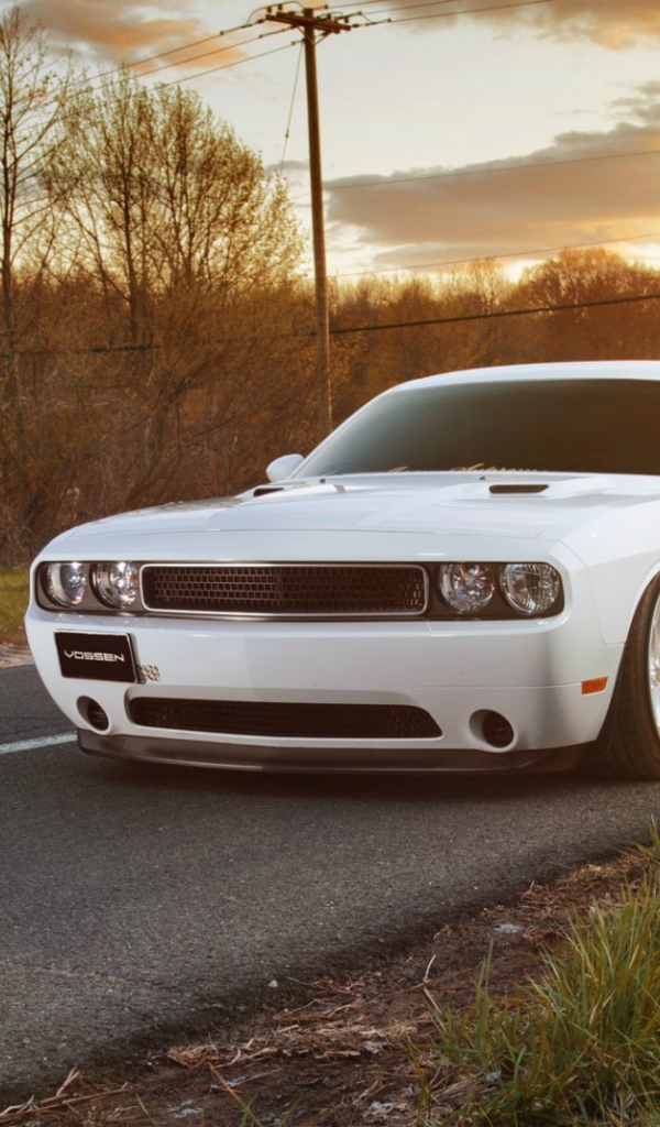 Белый Dodge Challenger на дороге