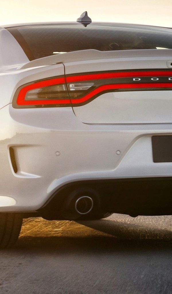 Вид сзади на Dodge Charger SRT 2015