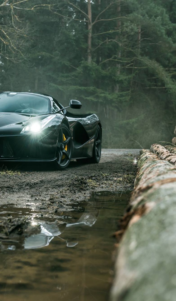Черный Ferrari LaFerrari на лесоповале