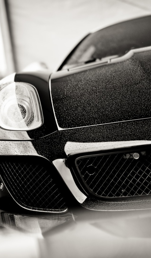 Черно белое фото авто Ferrari