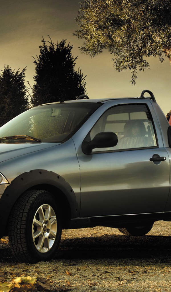 Серый Fiat Strada