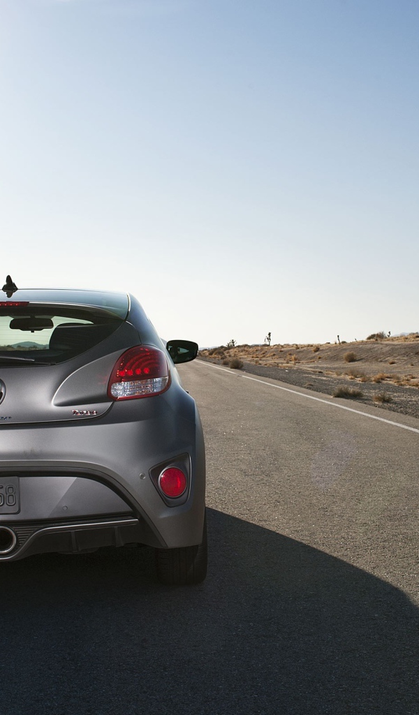 Вид сзади на Hyundai Veloster