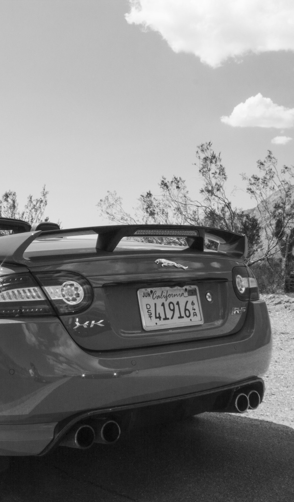 Черно белое фото автомобиля Jaguar