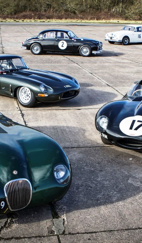 Parade of racing vintage cars Jaguar E-Type