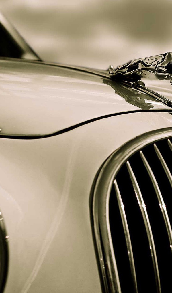 Фигурка на капоте Ягуара