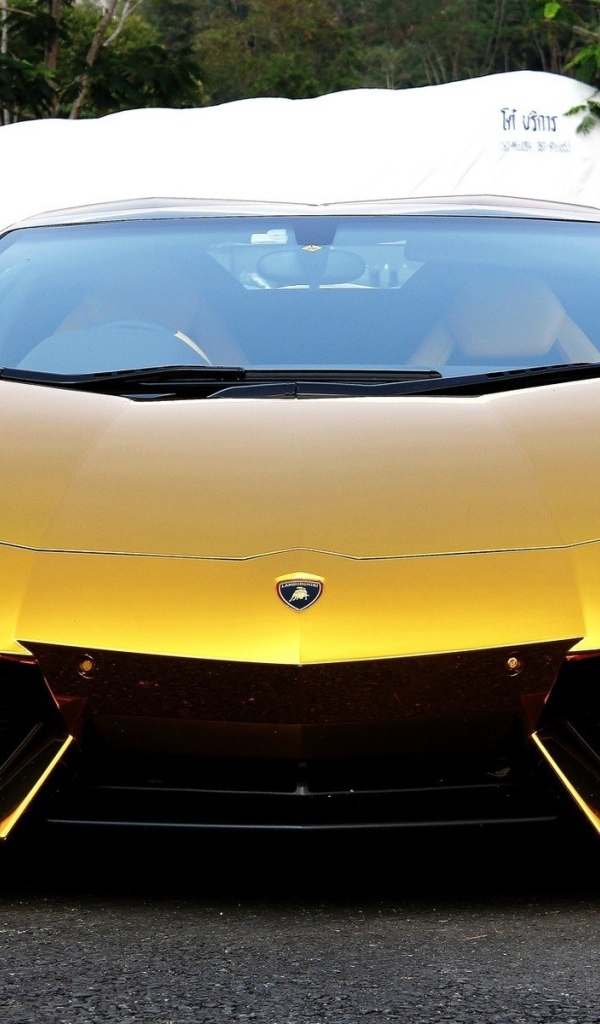 Золотой Lamborghini в Индии