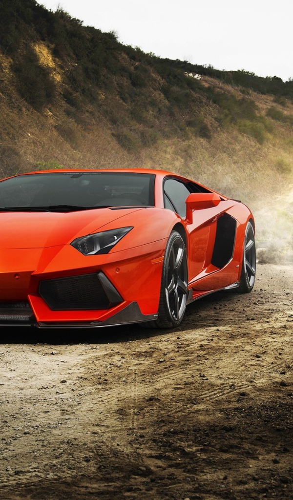 Ламборгини Авентадор на обочине горной дороги