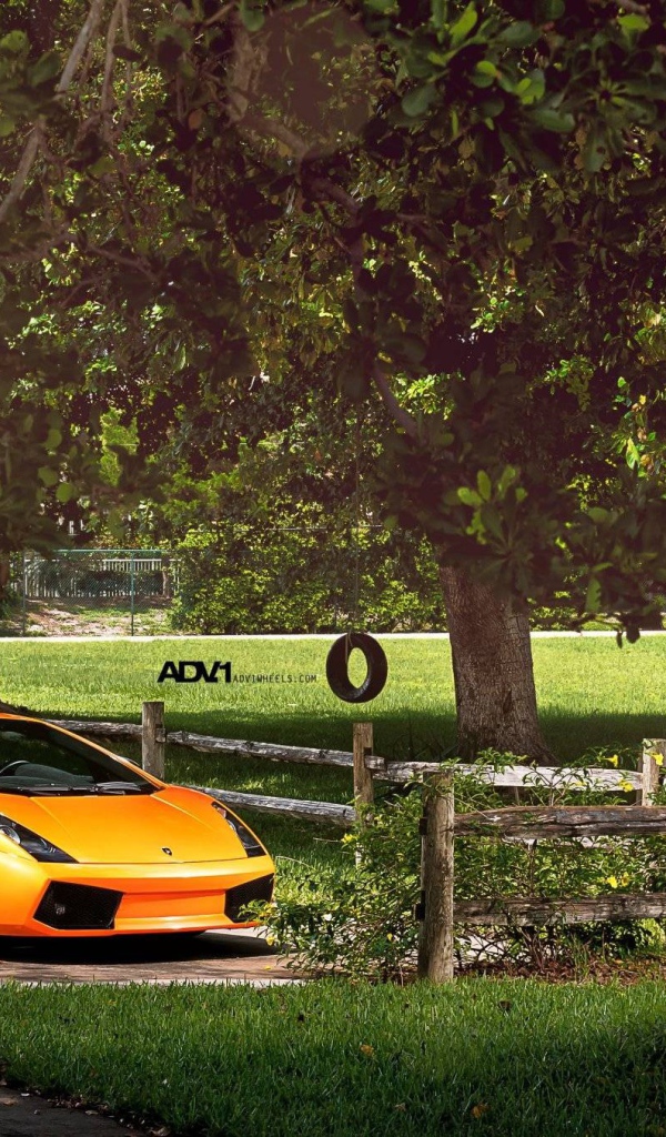 Оранжевый Lamborghini у фермерского забора