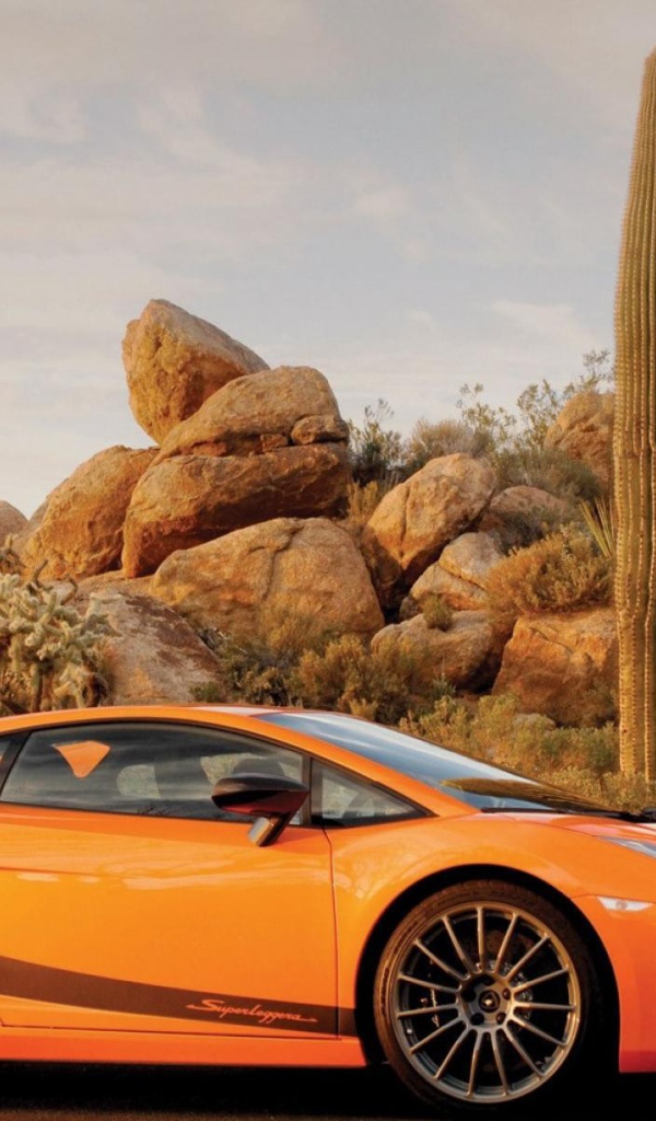 Оранжевый Ламборгини на фоне кактусов