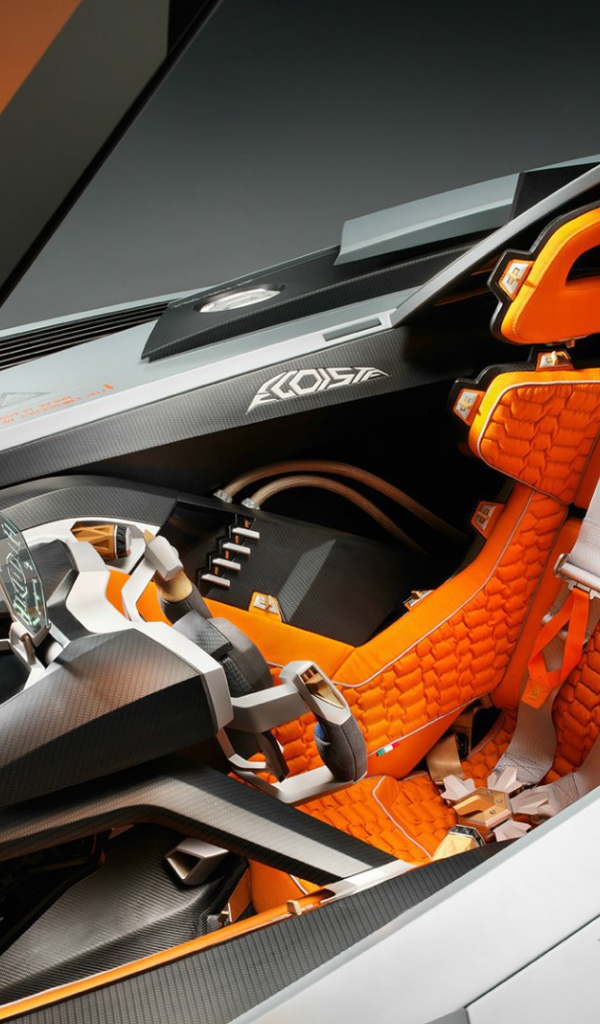 Водительское сиденье в  Lamborghini Egoista