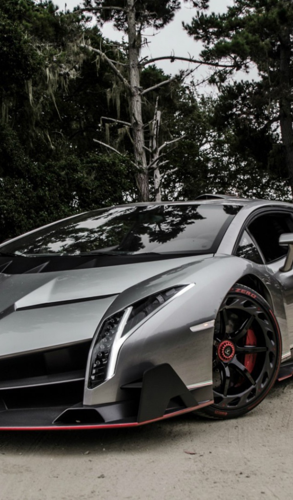 Автомобиль для скорости Lamborghini Veneno