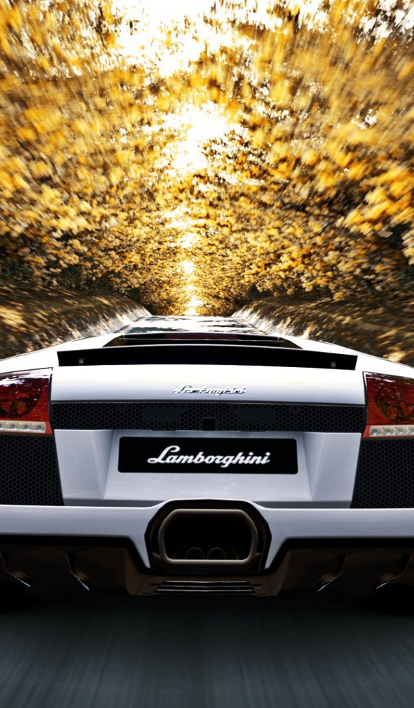 Белый Ламборгини мчится по аллее