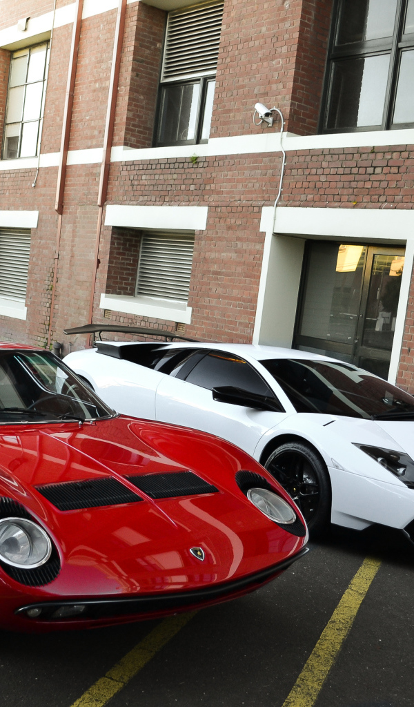 Белый и красный ламборджини