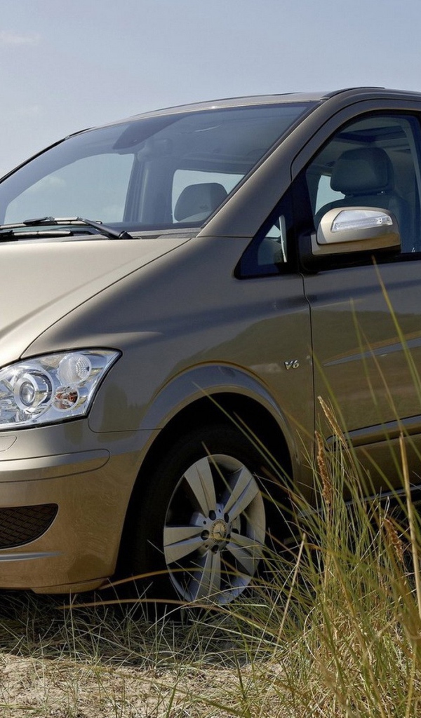 Семейный Мерседес на берегу водоема