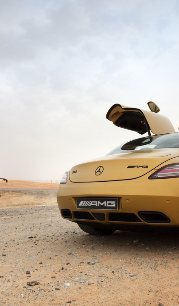 Mercedes-Benz SLS AMG в пустыне
