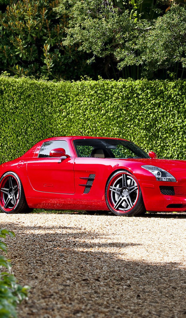 Красный Mercedes у забора из зелени